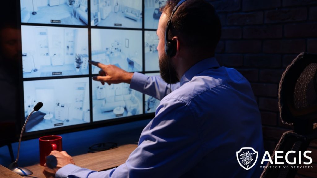 Aegis Protective Services Security Technology